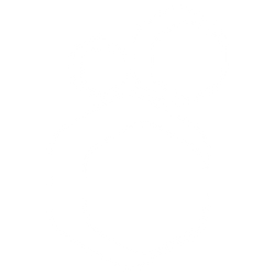 BearBee